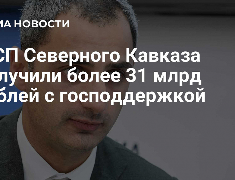 Более 31 млрд рублей с господдержкой получили МСП Северного Кавказа за три квартала 2025 года